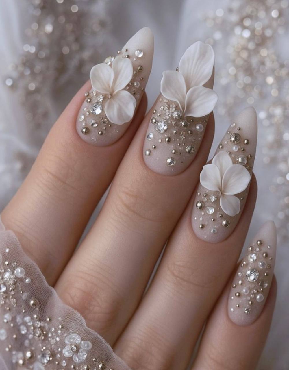 photo_2026-01-13_20-16-24